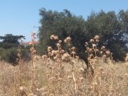 Kokkino Chorio Herrlicher Meerblick von Kokkino Chorio zum Verkauf Grundstück kaufen